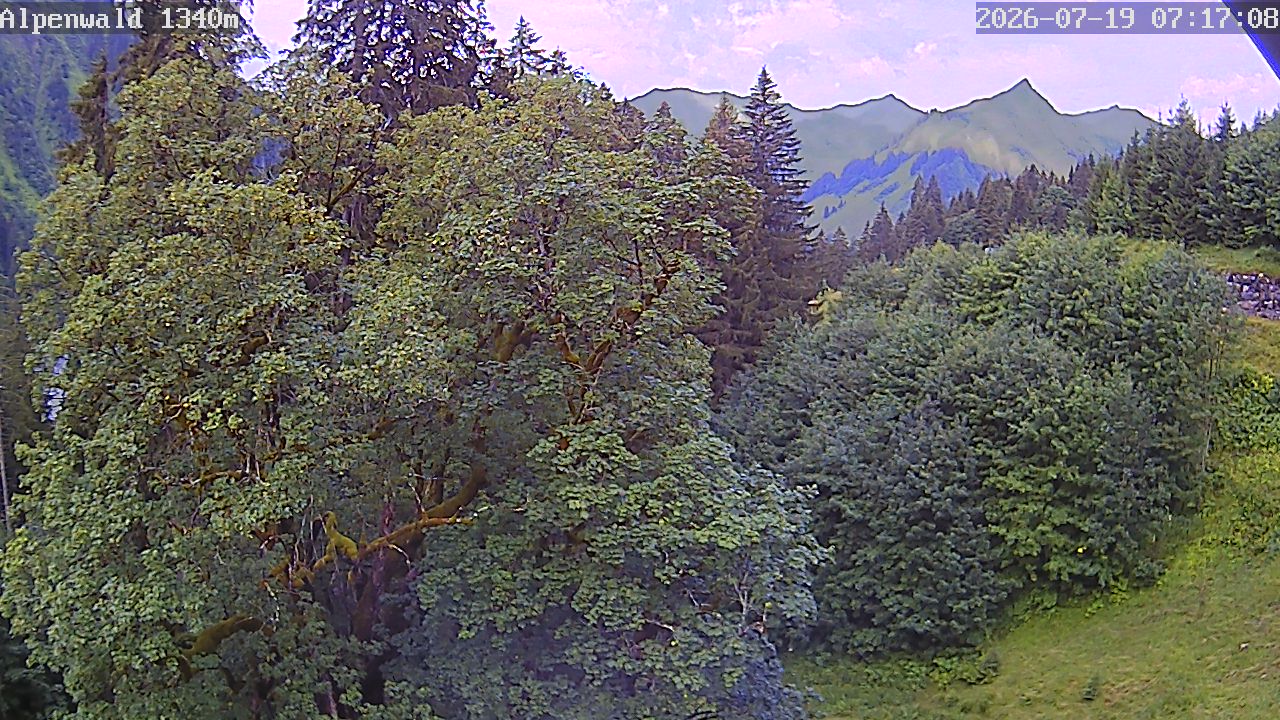 Image: Gasthof Alpenwald